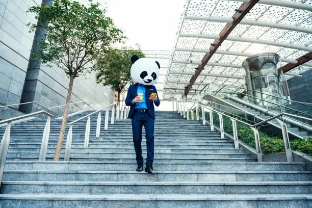 Storytelling image of a business man wearing a giant panda head