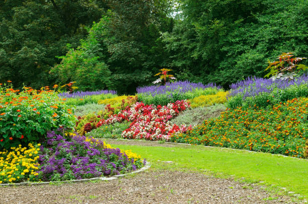 istock Lush flower beds in the summer garden. Evening time. 1352923952