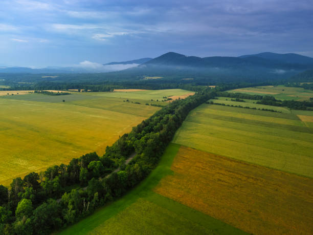 aerial view of avenue of trees through agriculture fields towards cloudy Maria Śnieżna mountain under a stormy sky in Poland stock photo