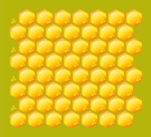 Close-up of a honeycomb filled with honey.