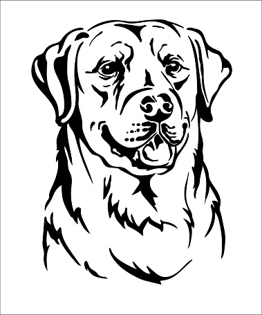 Labrador retriever dog black contour portrait. Dog head in front view vector illustration isolated on white. For decor, design, print, poster, postcard, sticker, t-shirt, cricut, tattoo and embroidery