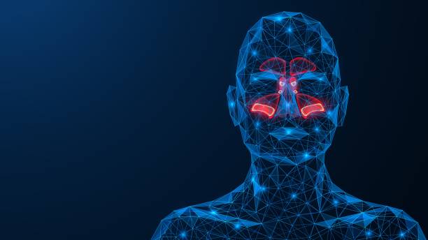 Sinusitis. Sinusitis. Purulent inflammation of the para nasal sinuses. A low-poly model of interconnected lines and points. Blue background. chronic illness stock illustrations