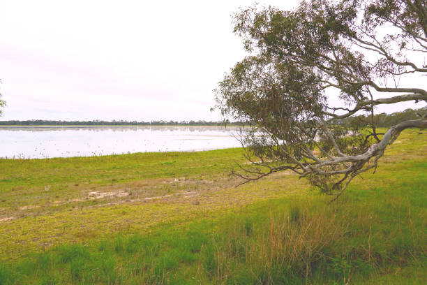istock Edenhope,  Wimmera, Victoria, Australia 1352936413