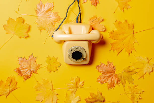 Old yellow dial phone and maple leaves around.