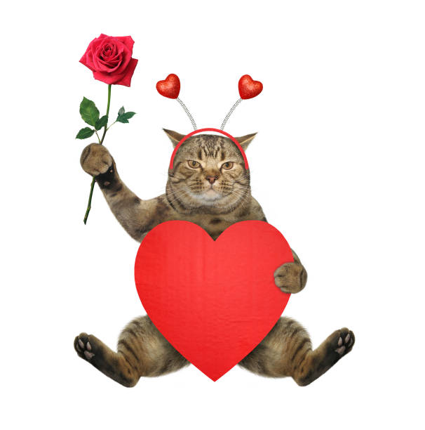istock Cat sits with big red heart and rose 1352941652