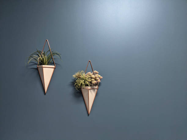 wisząca doniczka w kształcie trójkąta z roślinami na niebieskim tle ściany. domowe rośliny ozdobne - wall decor zdjęcia i obrazy z banku zdjęć