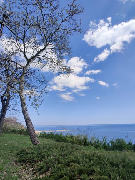 istock Varna city and Black sea 1352943281