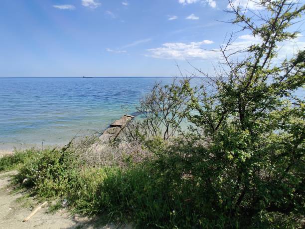 istock Varna city and Black sea 1352944103