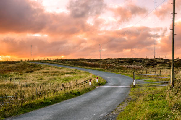 istock Deserted winding back road at sunset 1352947919