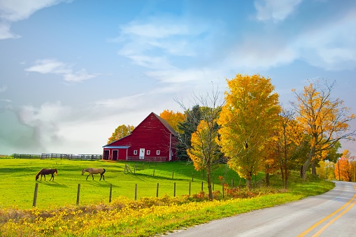 Country Road with Barn-Horses and fall colors-Traverse City, Michigan
