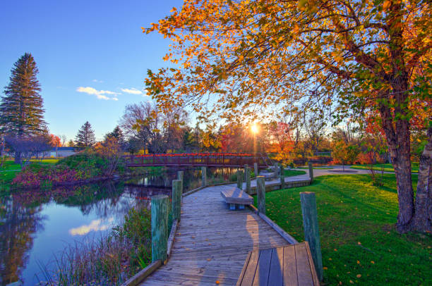 Fall Leaf Colors with Bridge on the AuSable River -Grayling Michigan