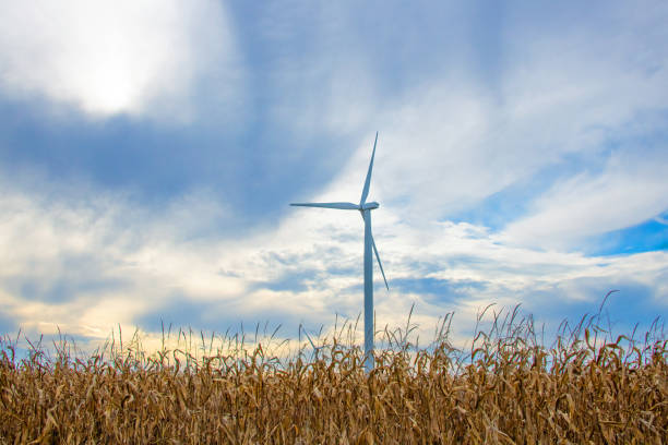 Wind turbine generating clean energy in a field