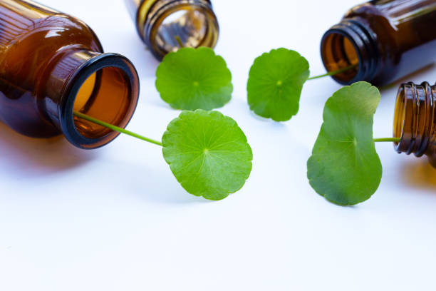 istock Fresh green centella asiatica leaves with medicine bottles 1352952873