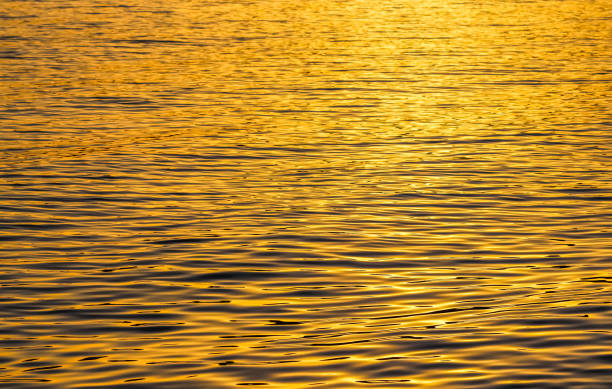 istock Golden sea waves in sunset glow as surface background. Summer holidays concept 1352952948