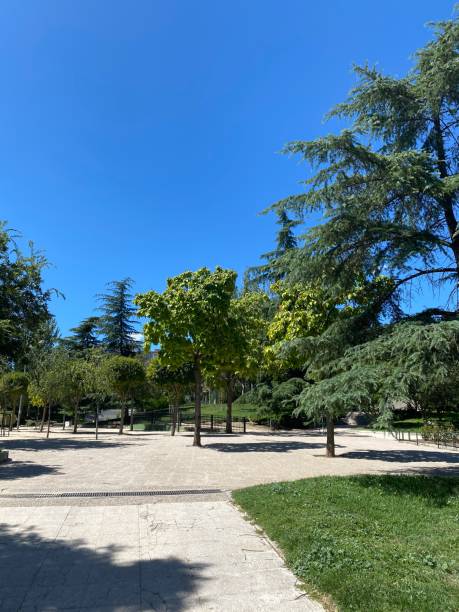 istock public park on a clear day. 1352953212