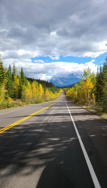 istock Sunny Autumn Day along the Icefields Parkway 1352955602
