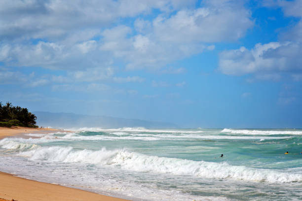 Surfers in a Surf competition, North Shore, Oahu, Hawaii