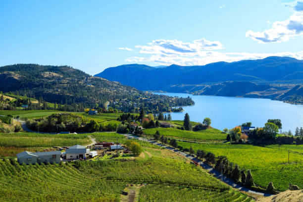 istock Skaha Lake Winery Vineyard Okanagan Valley Landscape 1352960457