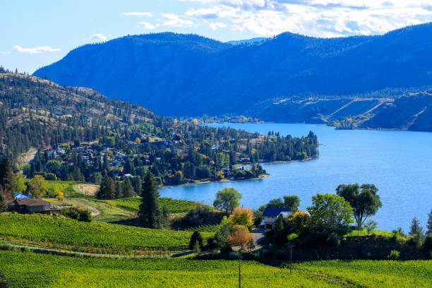 istock Skaha Lake Winery Vineyard Okanagan Valley Landscape 1352960542