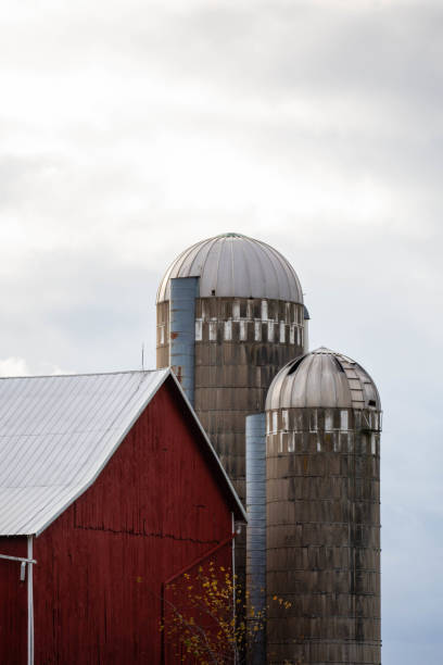 istock Red barn with two silos in Wisconsin 1352961222