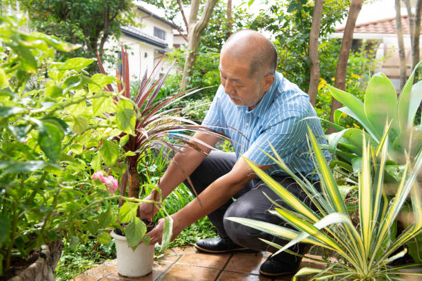 Senior man gardening at home