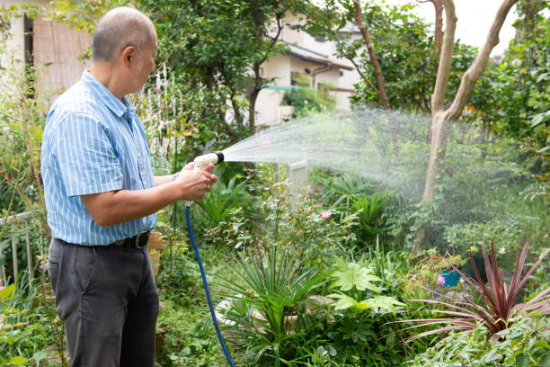 istock Senior man gardening at home 1352974991