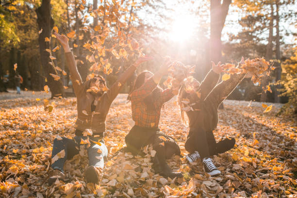 Free Stock Photo of Group of People Standing on Top of Pile of Leaves ...