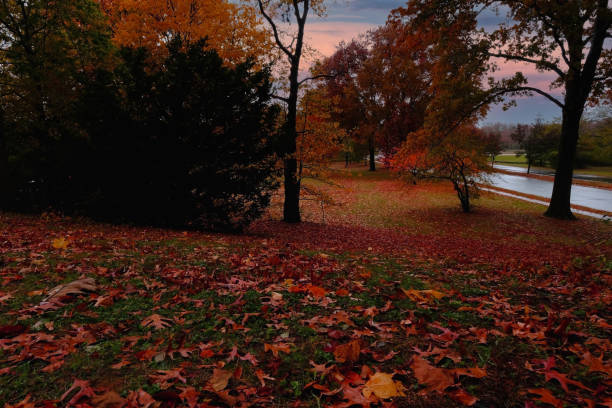 istock autumn season pictures 1352981449