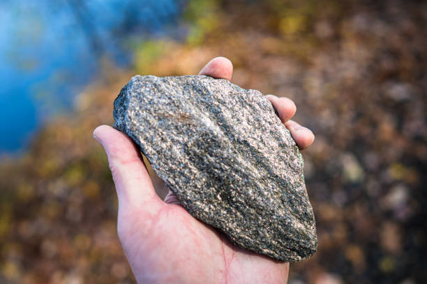istock Holding Muscovite Mica Schist 1352983554