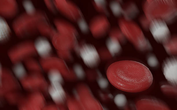 istock erythrocytes in vein 3d illustration 1352989320