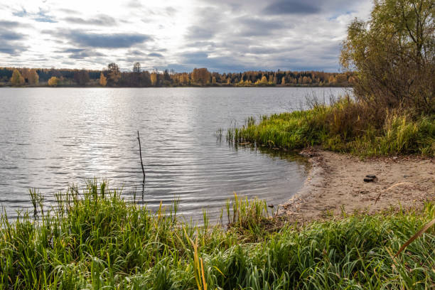 istock A water landscape with a small sandy beach on an autumn cloudy day. 1352990913