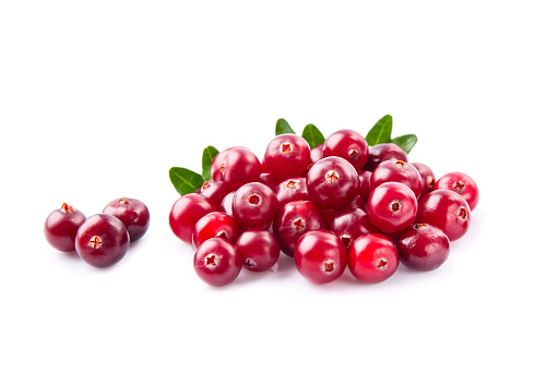Cranberries berry on white backgrounds. Healthy food ingredient.Lingonberry.