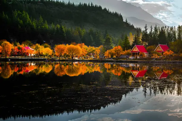 beautiful autumn landscape photos with colourfultrees and reflection in water