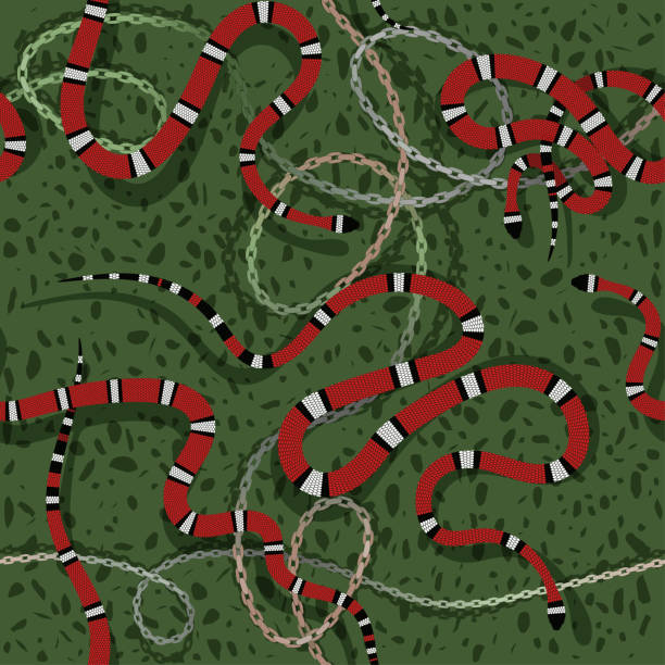 ilustrações, clipart, desenhos animados e ícones de padrão rico sem emenda com cobras listradas vermelhas, pedras e correntes - coral snake