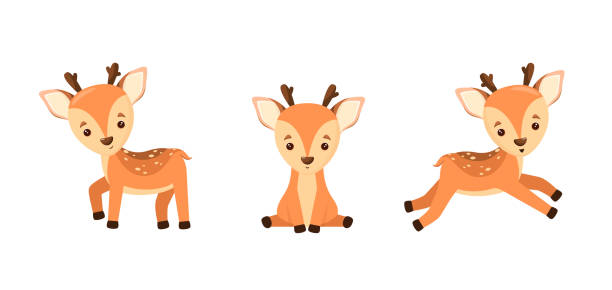 illustrazioni stock, clip art, cartoni animati e icone di tendenza di un set di simpatici cerbiatti - fawn