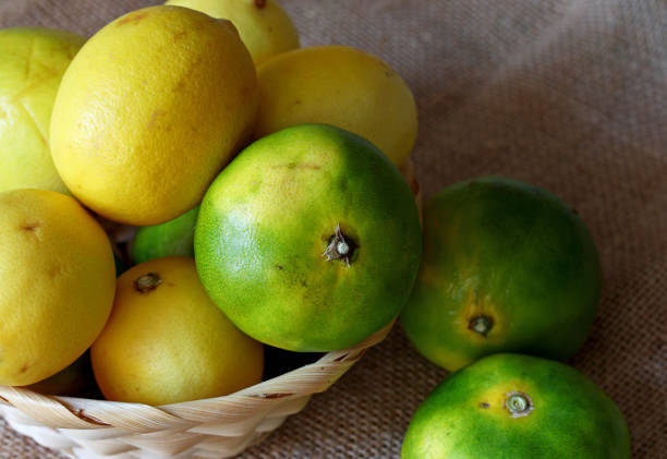 lemons and tangerines in a wicker basket