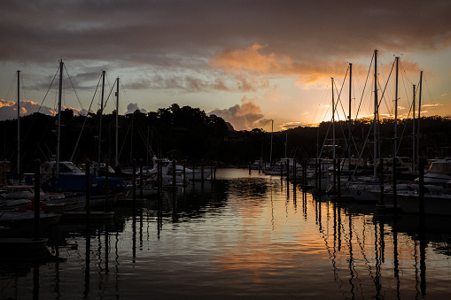 Sailboats in marina at sunset in Tutukaka, New Zealand