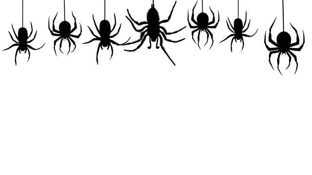 Spiders hanging on web strand at transparent alpha channel background. Overlay for compositing. Group black spiders Gloomy and scary Halloween