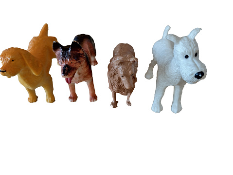 toy dogs isolated on white