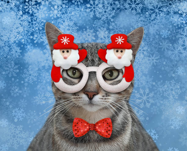istock Cat gray wears Christmas mask 2 1353014998