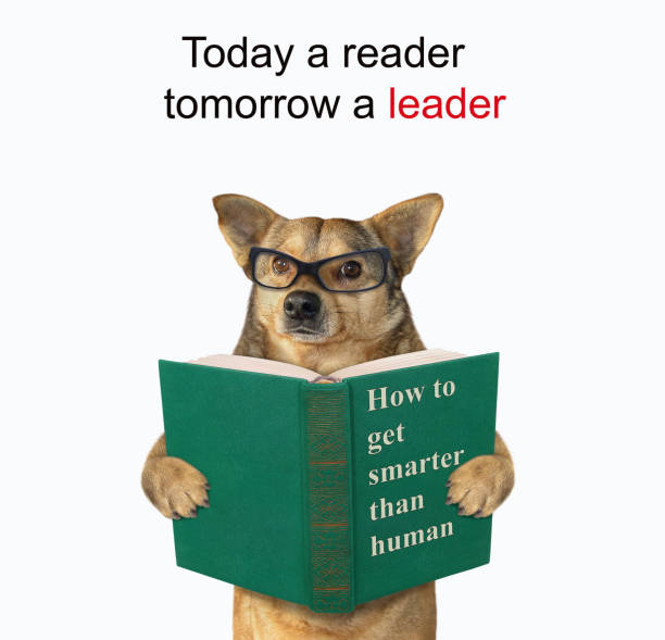 istock Dog in eyeglasses reads green book 1353015006