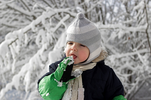 Little toddler boy in warm coat and knitted hat having fun in the winter forest and trying to catch snowflakes with his mouth, outdoor portrait
