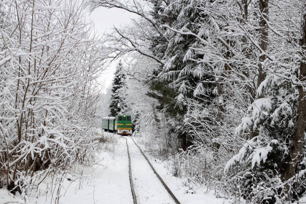 reisekonzept. ein zug, der zwischen weißem winterwald wie polarexpress, outdoor, wunderland - polarklima stock-fotos und bilder