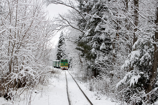 A train going among gorgeous white winter forest like polar express, winter travelling, outdoor