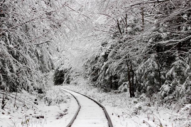 koncepcja podróży. pociąg jadący wśród białego zimowego lasu jak ekspres polarny, na zewnątrz, kraina czarów - locomotive steam train train snow zdjęcia i obrazy z banku zdjęć