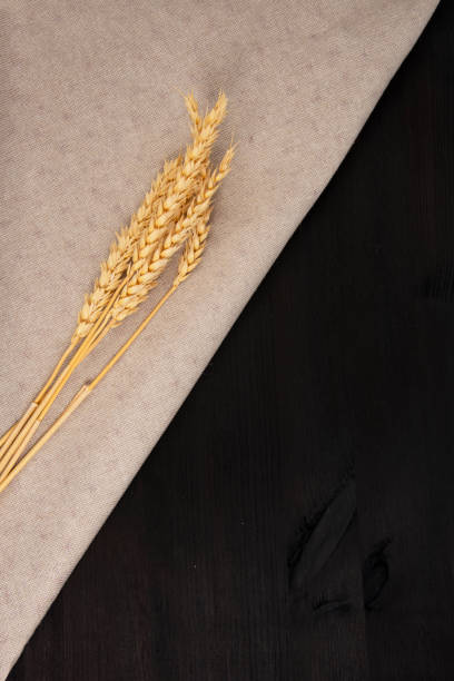istock Natural wheat on craft fabric concept on dark black background with copy space 1353019572