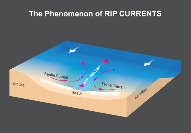 The Phenomenon of RIP CURRENTS. The Phenomenon of RIP CURRENTS. Sea and beach figure for explain The dangerous phenomenal of RIP CURRENTS. parallel port stock illustrations