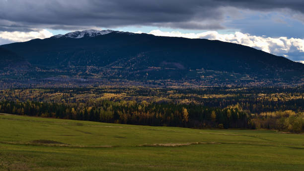 Autumn landscape near Yellowhead Highway (16) north of Houston, Canada with green meadow in front of colorful forest and snow-capped Mount Morice on cloudy day. stock photo