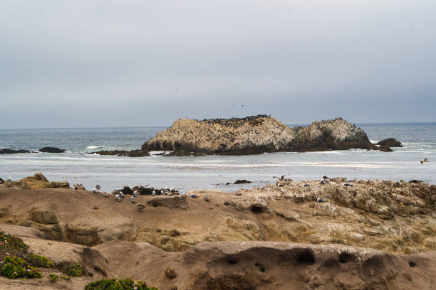istock Pacific Coast Highway (PCH - State Route 1), California 1353026778