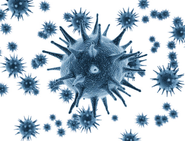 istock Virus cells 3D Illustration isolated on white 1353027804